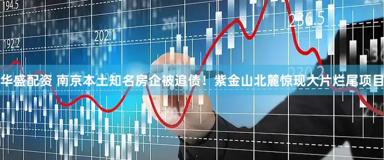华盛配资 南京本土知名房企被追债！紫金山北麓惊现大片烂尾项目
