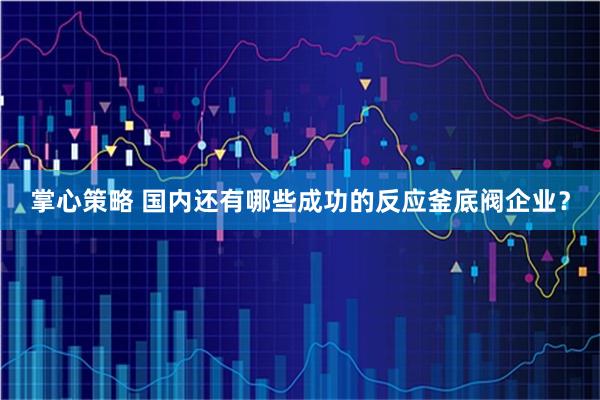 掌心策略 国内还有哪些成功的反应釜底阀企业？
