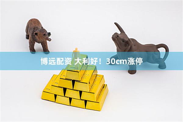 博远配资 大利好！30cm涨停
